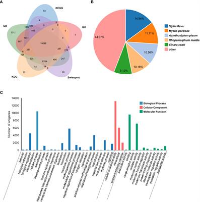 Transcriptomic and proteomic analyses provide insights into host adaptation of a bamboo-feeding aphid